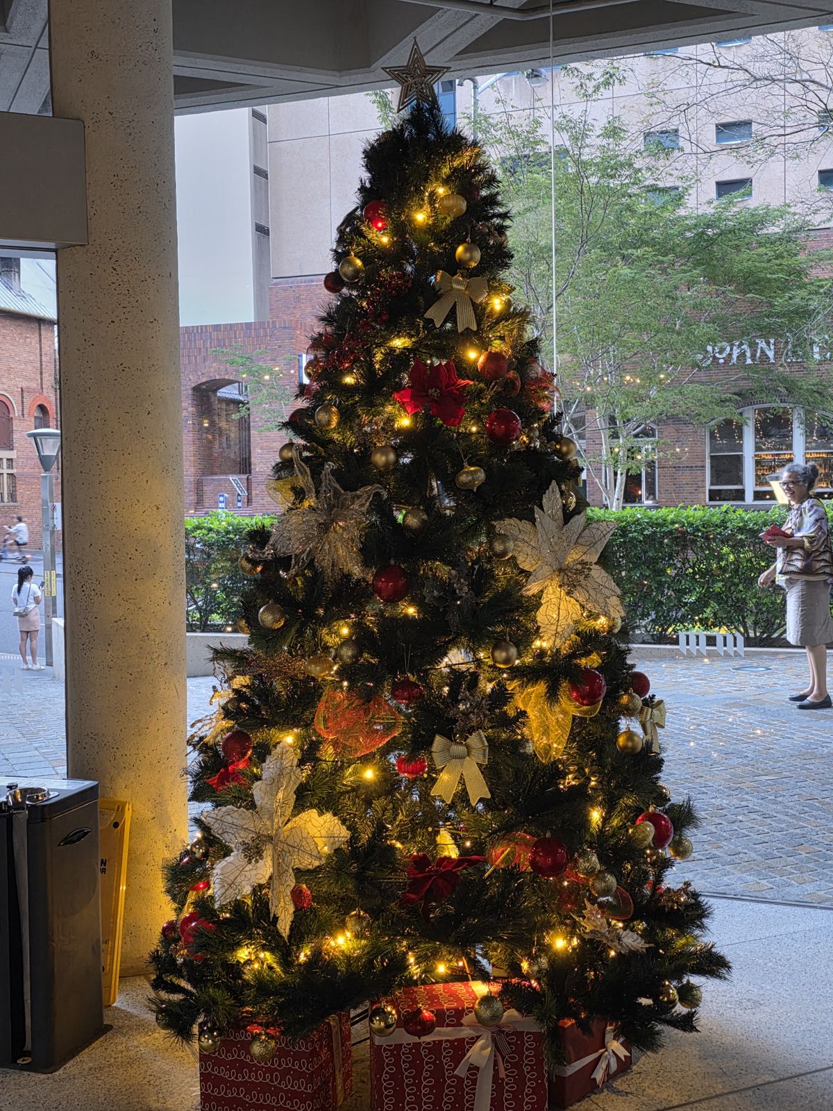 Lit tree at a building entrance at night
