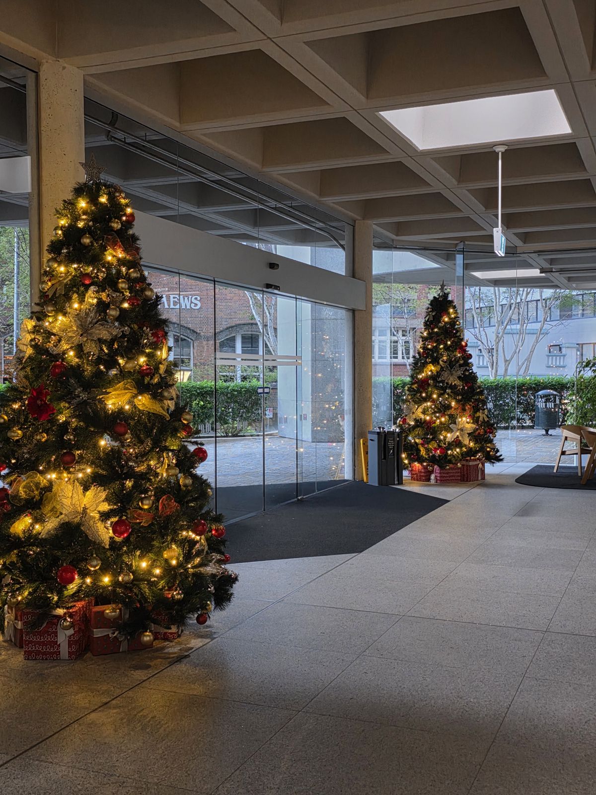 Lit Christmas trees at a building entrance at twilight