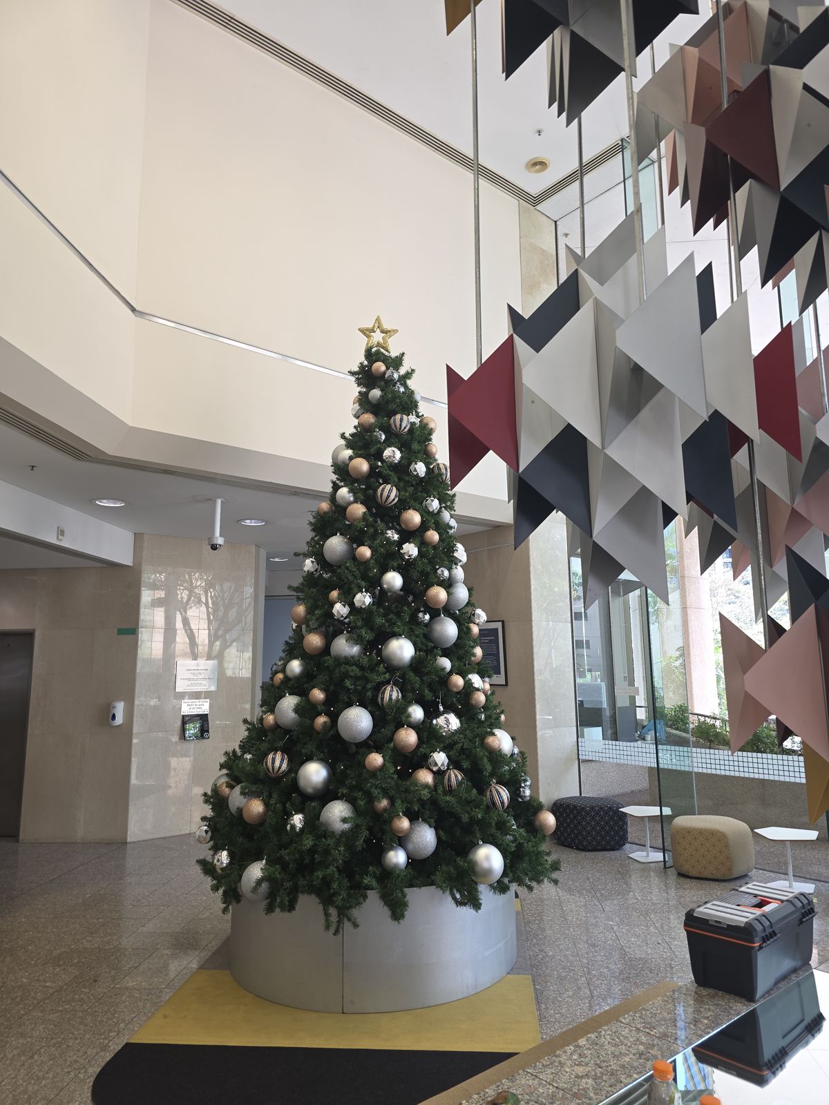 Silver and white tree beside sculptural architecture