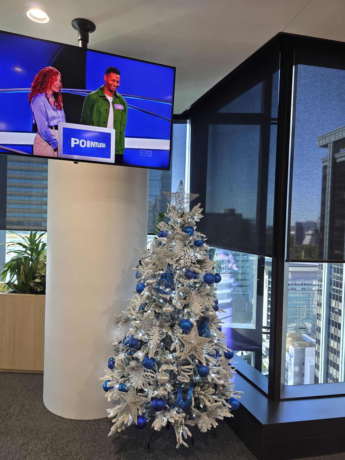 Silver tree against Brisbane CBD views