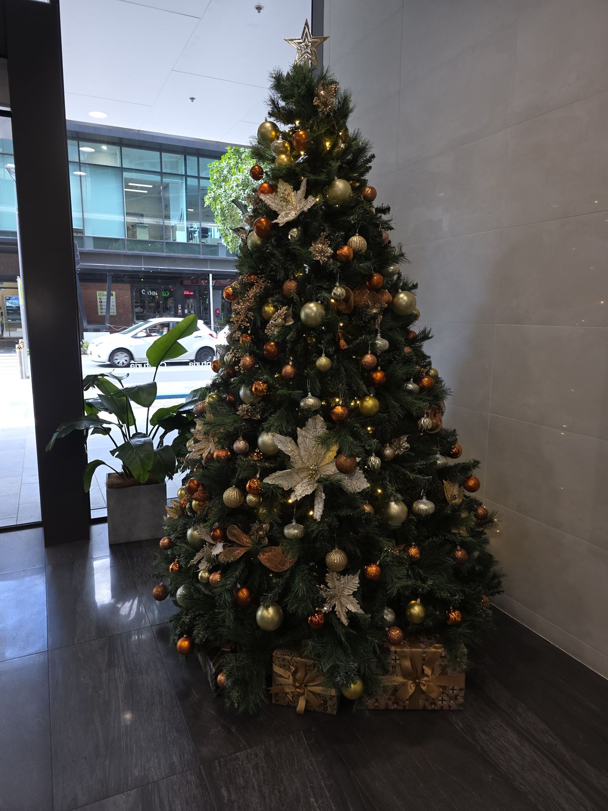 Gold poinsettia theme - street foyer