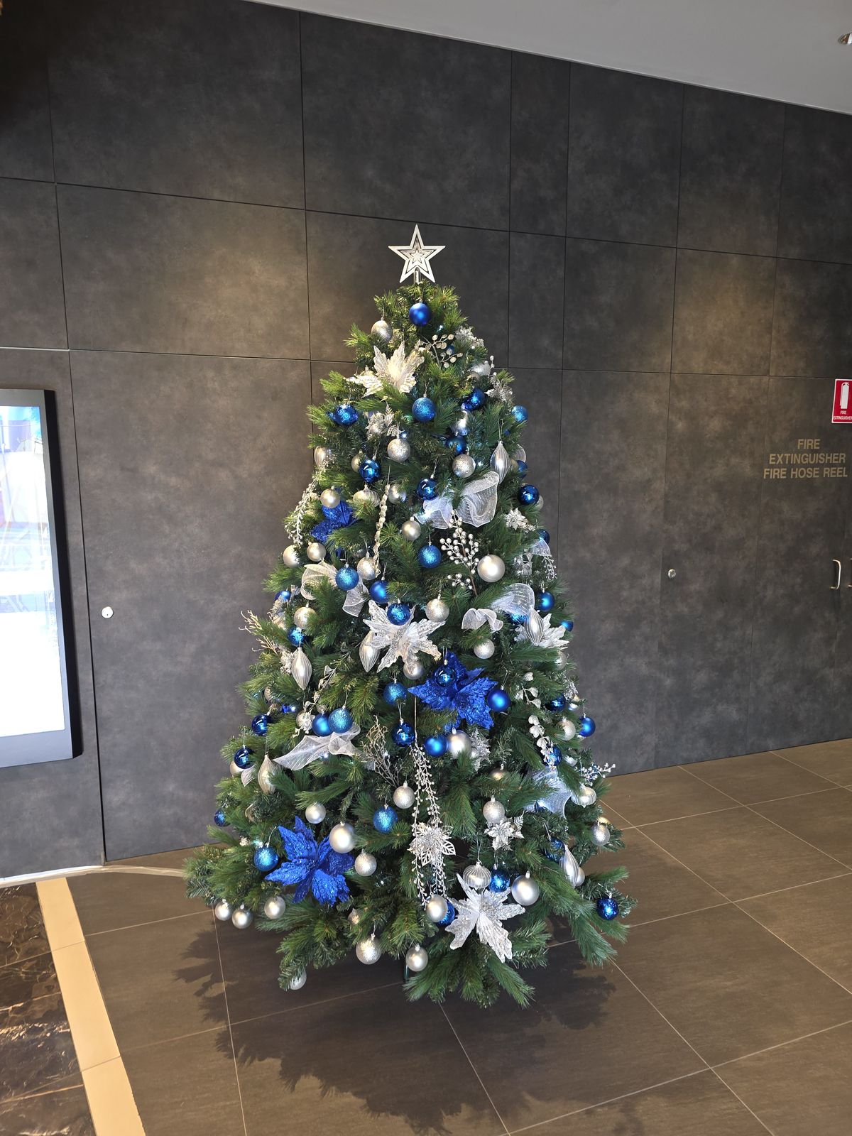 Blue and white tree with poinsettia flowers