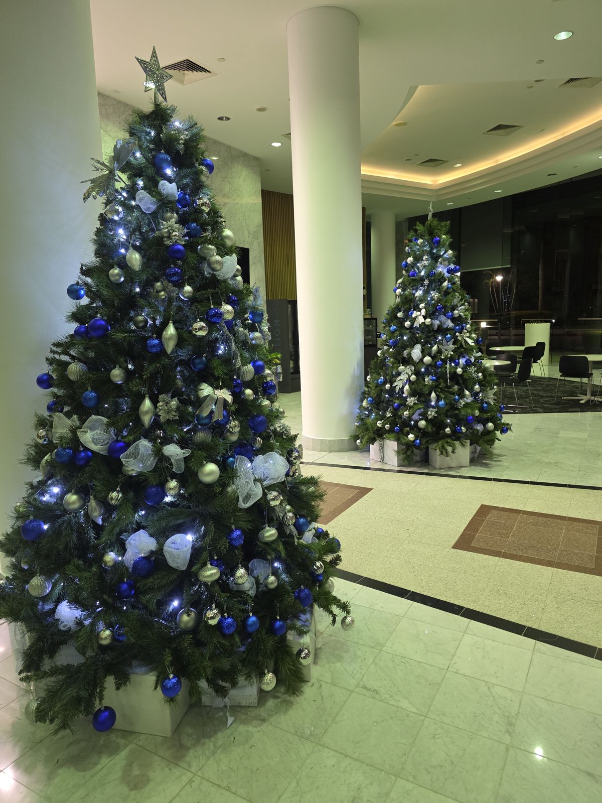 Twin blue and silver trees in a tower lobby